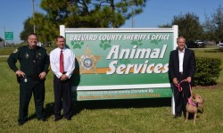People standing next to animal services page