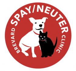 Spay abd Neuter clinic