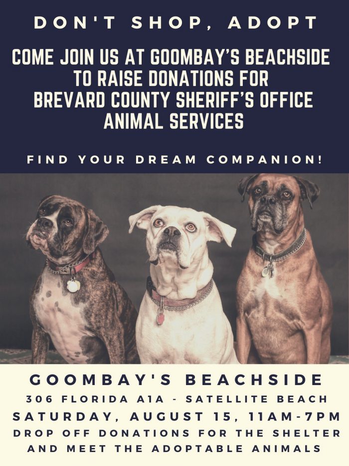 Animal Services Fundraiser