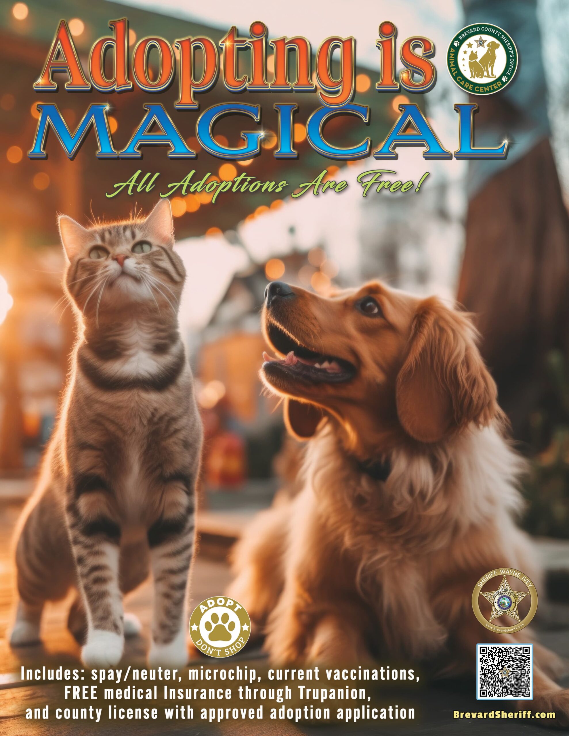 Adopting is Magical Flyer