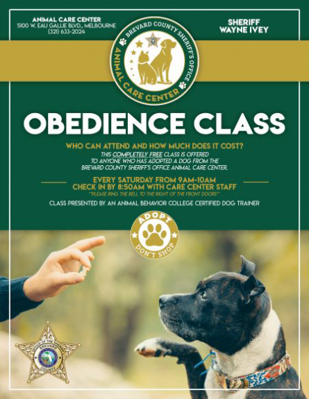 AS Dog Obedience Class Flyer e1677872231320