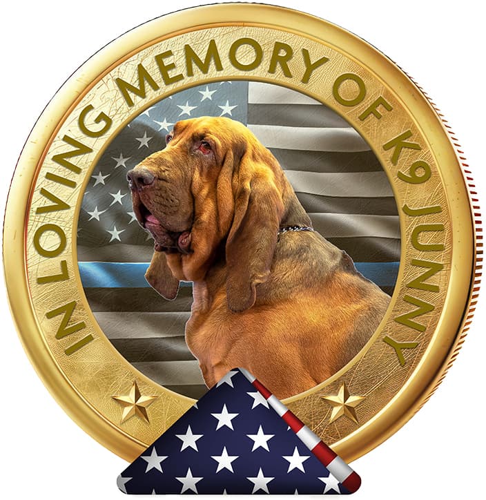 Junny thin blue line in memory coin v2 1