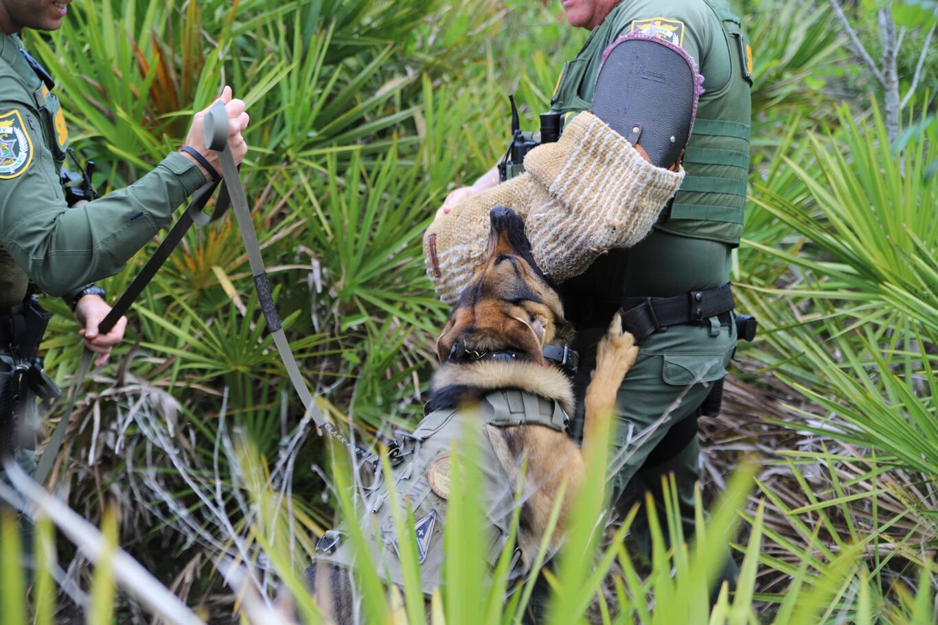 K9 2