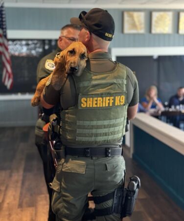 K9 Puppy