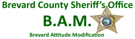 bam logo 2 1