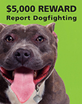 dogfightingbutton
